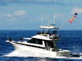 Maui Tours Maui Tours